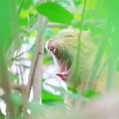 DSC_3726.jpg