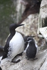 C360_2011-03-07 14-06-15