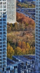 C360_2011-04-19 09-19-45