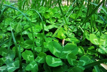 C360_2011-05-07 14-30-26_org