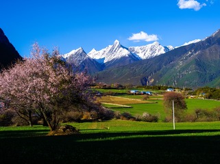 _IGP6643