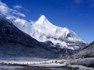_IGP8446