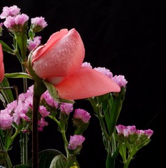 IMGP5895-2