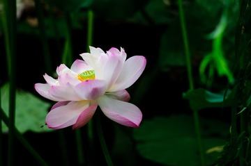20140705-1