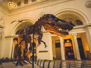 P3180279