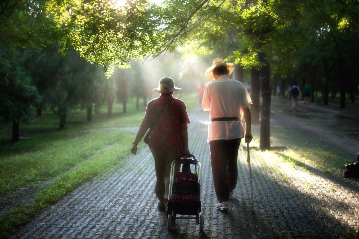 天坛公园的一条古道上漫步着一对老夫妻,岁月静谧又安好.
