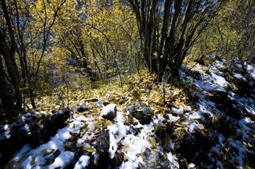 DSC_0603.jpg