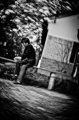 DSC_1904.jpg
