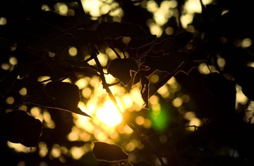 DSC_1977-2.jpg