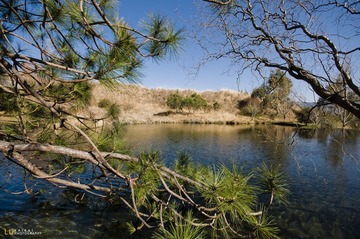 DSC_5866.jpg