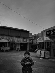 R8037076.jpg