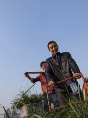 R8038666.jpg
