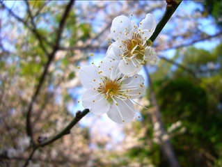 P1070506