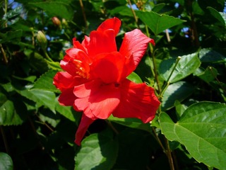 P1070561