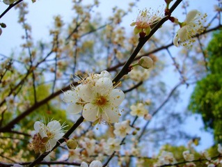 P1070530