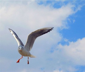 img_1856_
