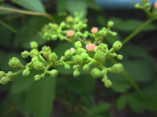 039 (2)