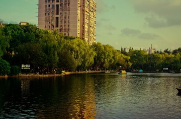 _IGP6067