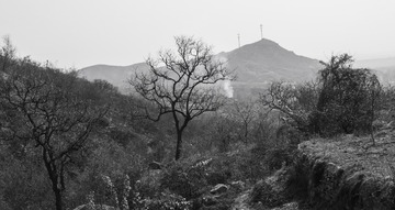 _DSC0062