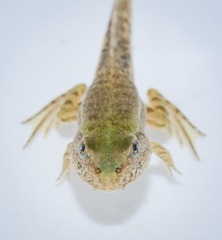_DSC0028