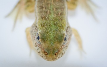 _DSC0032