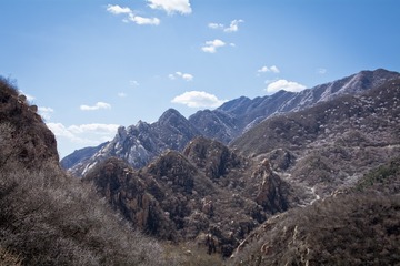 山花烂漫