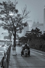 清晨永远不会迟到的人