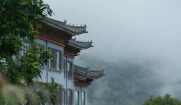 一念心清静，莲花处处开。