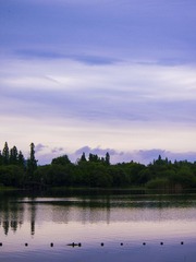 P4278809