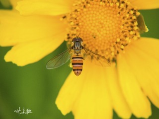 P5058916