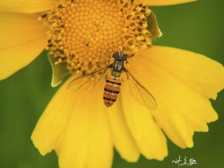 P5058921