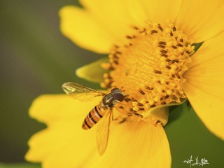 P5058922