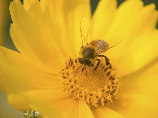 P5058913