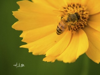 P5058915
