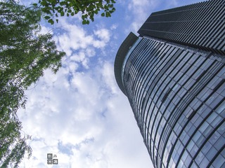 P5249311