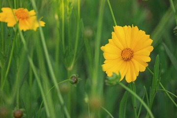 P5058876