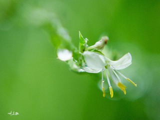 P8120133