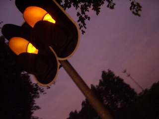 STP65559