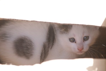 001