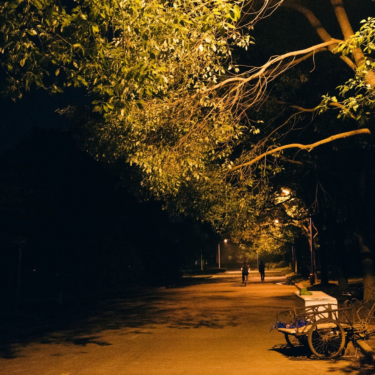 东16寝室后