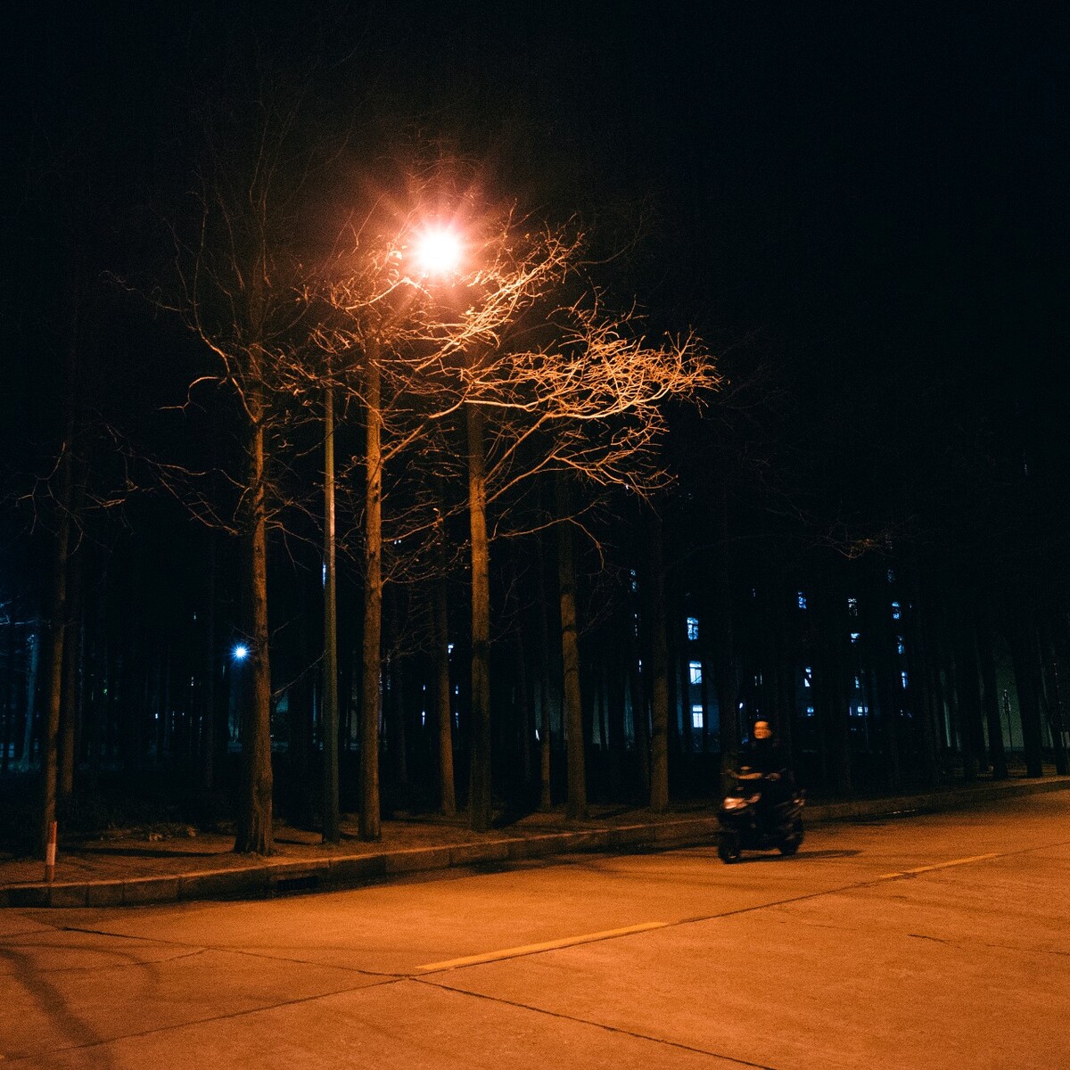 小树林旁