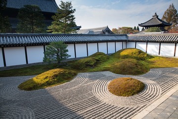 QIU_8326