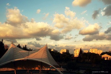 IMG_9147.jpg