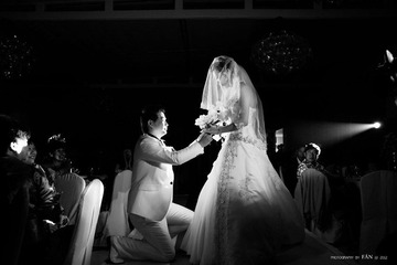IMG_9313.jpg