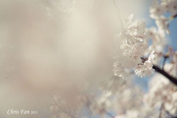 IMG_4174.jpg