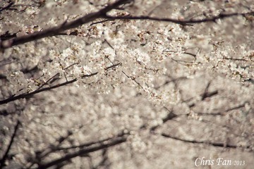 IMG_4186.jpg