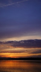 A1B26943-B24B-4AA0-85B2-3515E1E63C16/L0/001