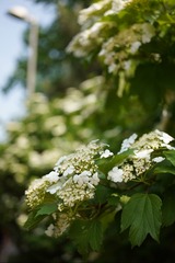 4F8B2FE9-C616-49E4-AE9F-62148D8D90AB/L0/001
