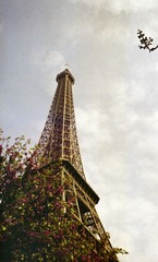 Image23.jpg
