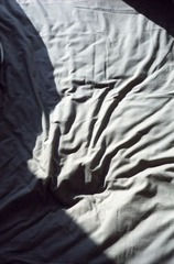 Image9.jpg
